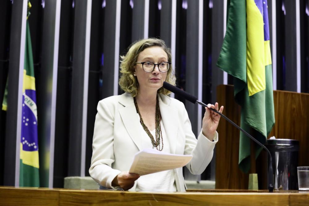 A deputada federal Maria do Rosário: monopólio do humor legítimo. Foto: Luís Macedo/Câmara dos Deputados